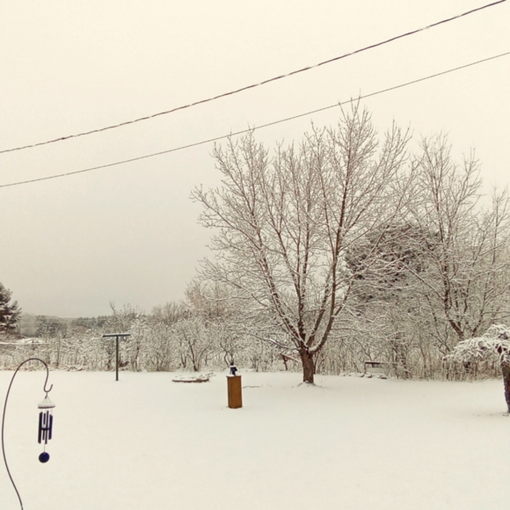 Meet your Posher, Carol